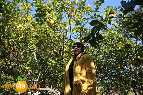 ibtesamat n0130 (4).JPG